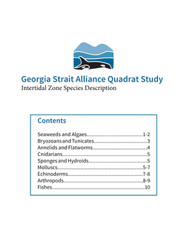 Georgia Strait Alliance Quadrat Study Intertidal Zone Species Description