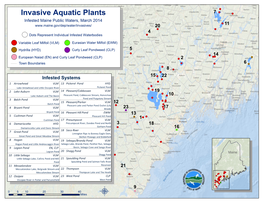 Invasive Aquatic Plants