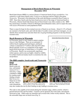 Management of Beech Bark Disease in Wisconsin [PDF]