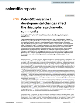 Potentilla Anserina L. Developmental Changes Affect the Rhizosphere