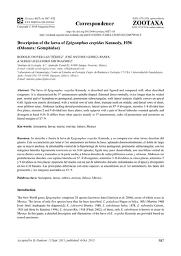 Description of the Larva of Epigomphus Crepidus Kennedy, 1936 (Odonata: Gomphidae)