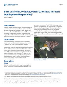 Bean Leafroller, Urbanus Proteus (Linnaeus) (Insecta: Lepidoptera: Hesperiidae)1 J