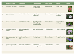 Chom Dong Plant Database