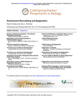 Nucleosome Remodeling and Epigenetics