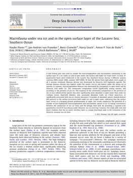 Macrofauna Under Sea Ice and in the Open Surface Layer of the Lazarev Sea, Southern Ocean