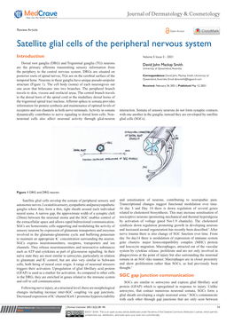 Satellite Glial Cells of the Peripheral Nervous System