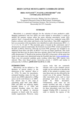 Beef Cattle Muscularity Candidate Genes