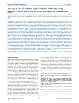 Reappraisal of Vipera Aspis Venom Neurotoxicity