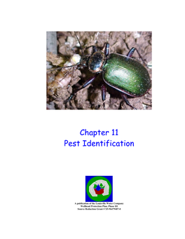 Chapter 11 Pest Identification
