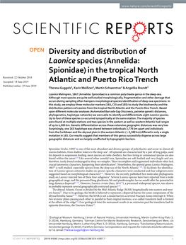 Diversity and Distribution of Laonice Species (Annelida: Spionidae) In