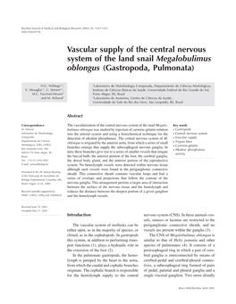 Vascular Supply of the Central Nervous System of the Land Snail Megalobulimus Oblongus (Gastropoda, Pulmonata)