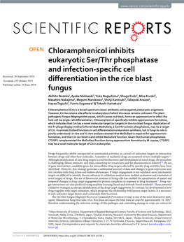 Chloramphenicol Inhibits Eukaryotic Ser/Thr Phosphatase and Infection