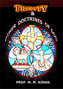 Trinityand Other Doctrines of God.Pdf