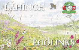 Lahinch Ecolinks Was Forthcoming from a Number of People and a Variety of Sources Including the Groundstaﬀ and Council of Lahinch Golf Club