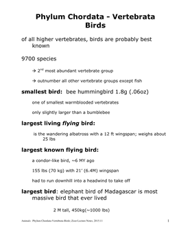 Phylum Chordata - Vertebrata Birds of All Higher Vertebrates, Birds Are Probably Best Known