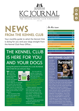 The Kennel Club Is Here for You and Your Dogs