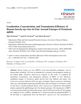 Localization, Concentration, and Transmission Efficiency of Banana Bunchy Top Virus in Four Asexual Lineages of Pentalonia Aphids