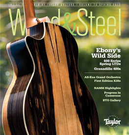 Taylor Guitars Wood & Steel Magazine