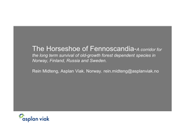 The Horseshoe of Fennoscandia-A Corridor for the Long Term Survival of Old-Growth Forest Dependent Species in Norway, Finland, Russia and Sweden
