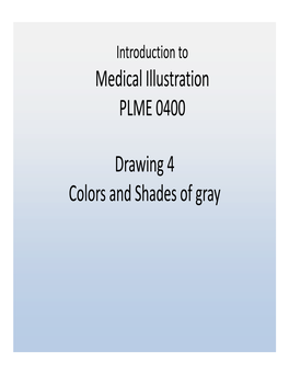 Medical Illustration PLME 0400 Drawing 4 Colors and Shades of Gray