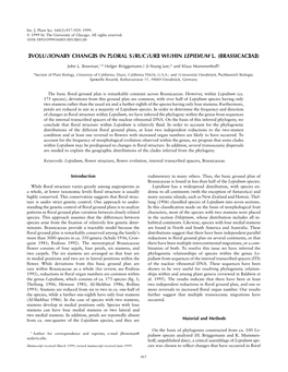 Evolutionary Changes in Floral Structure Within Lepidium L