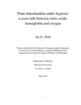 Plant Mitochondria Under Hypoxia: a Cross-Talk Between Nitric Oxide, Hemoglobin and Oxygen