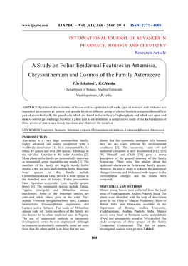 A Study on Foliar Epidermal Features in Artemisia, Chrysanthemum And