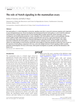 The Role of Notch Signaling in the Mammalian Ovary