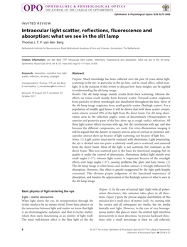 Intraocular Light Scatter, Reflections, Fluorescence and Absorption: What We See in the Slit Lamp