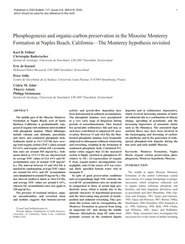 Phosphogenesis and Organic-Carbon Preservation in the Miocene Monterey Formation at Naples Beach, California—The Monterey Hypothesis Revisited