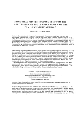 Chigutisaurid Temnospondyls from the Late Triassic of India and Review