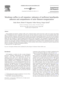 Membrane Ruffles in Cell Migration: Indicators of Inefficient Lamellipodia Adhesion and Compartments of Actin Filament Reorganization