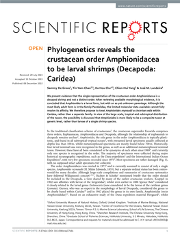 Decapoda: Caridea: Hippolytidae) Described on the Basis of Laboratory Cultured Material