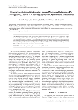 External Morphology of the Immature Stages of Neotropical Heliconians: IX. Dione Glycera(C. Felder & R. Felder) (Lepidoptera