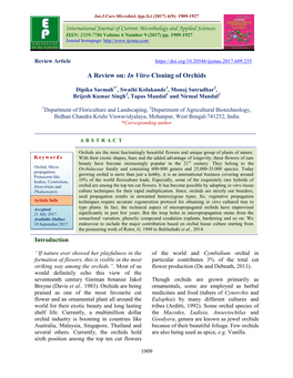 In Vitro Cloning of Orchids