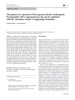 The Pattern of a Specimen of Pycnogonum Litorale (Arthropoda, Pycnogonida) with a Supernumerary Leg Can Be Explained with the “Boundary Model” of Appendage Formation