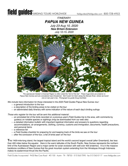 PAPUA NEW GUINEA July 23-Aug 10, 2020 New Britain Extension July 10-15, 2020