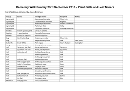 Plant Galls and Leaf Miners