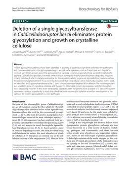 Deletion of a Single Glycosyltransferase In