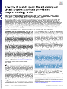 Discovery of Peptide Ligands Through Docking and Virtual Screening at Nicotinic Acetylcholine Receptor Homology Models