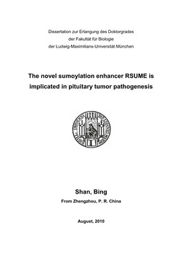 The Novel Sumoylation Enhancer RSUME Is Implicated in Pituitary Tumor Pathogenesis