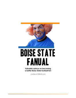 Valuable Advice on Becoming a Better Boise State Football Fan