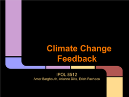 Climate Change Feedback