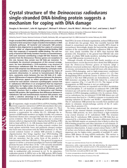 Crystal Structure of the Deinococcus Radiodurans Single-Stranded DNA-Binding Protein Suggests a Mechanism for Coping with DNA Damage