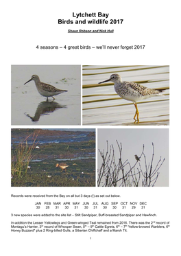 Lytchett Bay 1999 - 2017 175