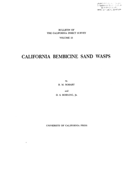 California Bembicine Sand Wasps