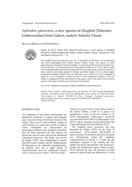 Apletodon Gabonensis, a New Species of Clingfish (Teleostei: Gobiesocidae) from Gabon, Eastern Atlantic Ocean