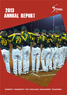 Annual Report 2013 P Age | 1