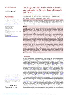 Two Stages of Late Carboniferous to Triassic Magmatism in the Strandja