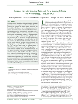 Brassica Carinata Seeding Rate and Row Spacing Effects on Morphology, Yield, and Oil